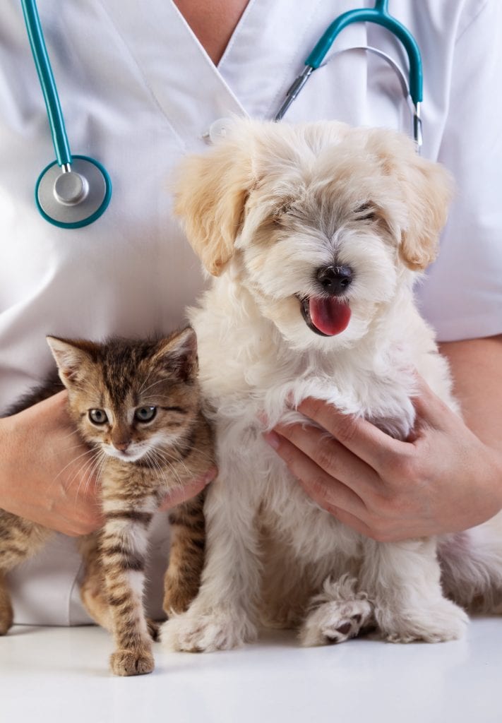 happy pets vet